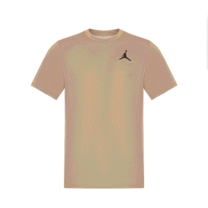 Jordan T Shirt
